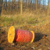 Nech sa aj diviačiky trochu zabavia.....