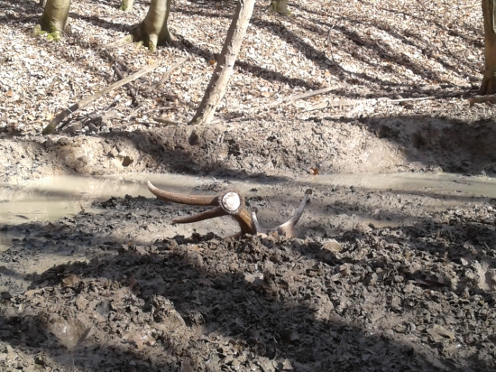 Pri doplnani soli po reviri.....