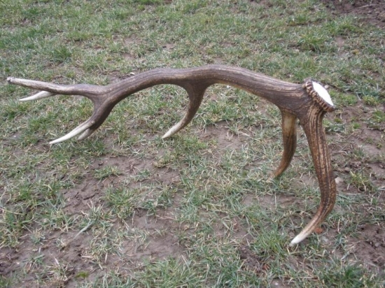 štrnasťtorak sezona 2009