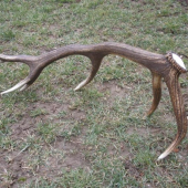 štrnasťtorak sezona 2009