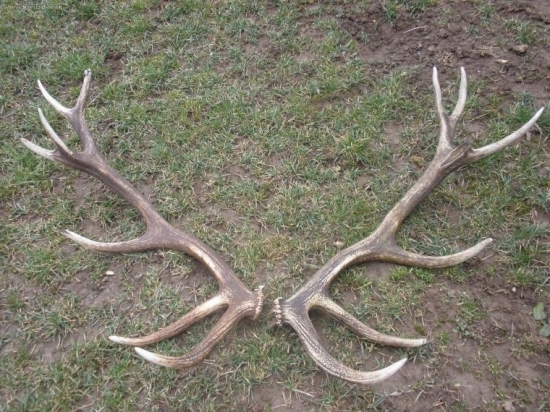 sezona 2009 už spolu