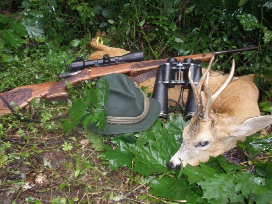 Zo starého posedu starého srnca.....