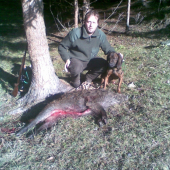 Uspešná dohladávka