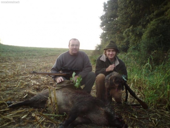 uspešná dohladávka