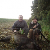 uspešná dohladávka