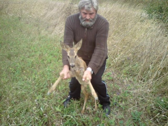 Zachrana srncata-p.Slovak vs. srnca