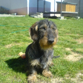 My Hero z lopenickych kopcu