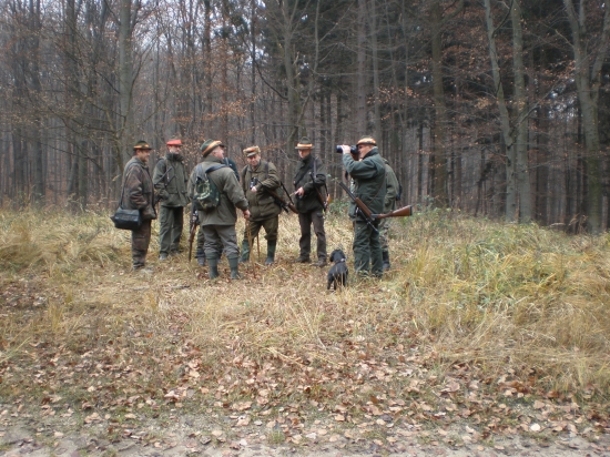 Príprava pred pohonom