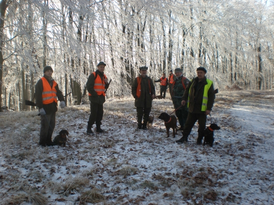Pred posledným pohonom