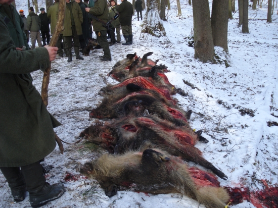 po ukončení leče.