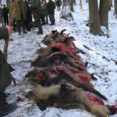 po ukončení leče.