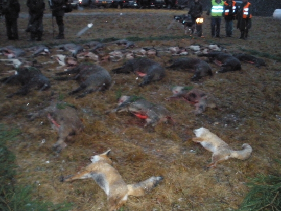 společná  Hartínkov