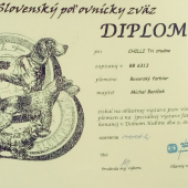 výstava V2