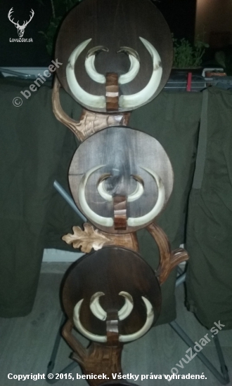 kanci 2015