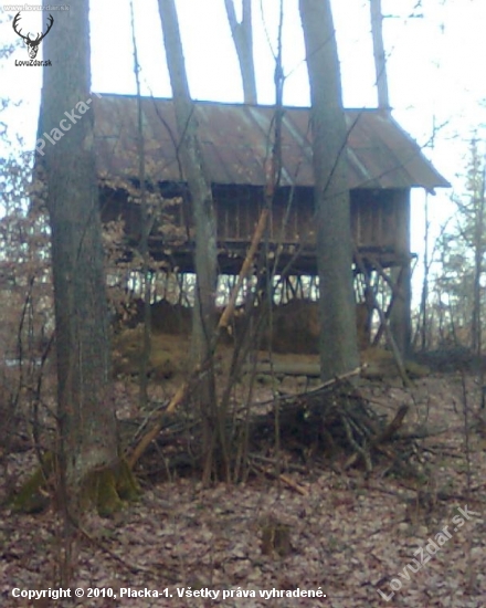 Velký seník