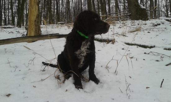 Ajda Vavrišovske Lúky