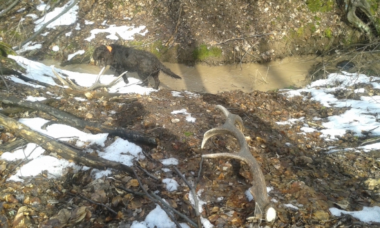 Sobotňajšie šťastie