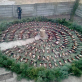 po uspesnej polovacke na drobnu.