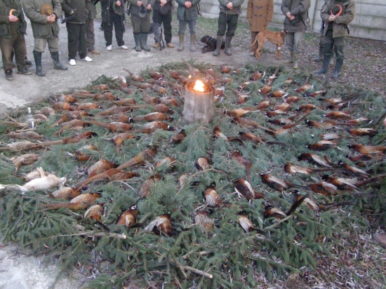 Spoločna 17.12.2011