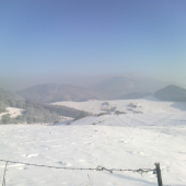 priroda  v zimnom spanku