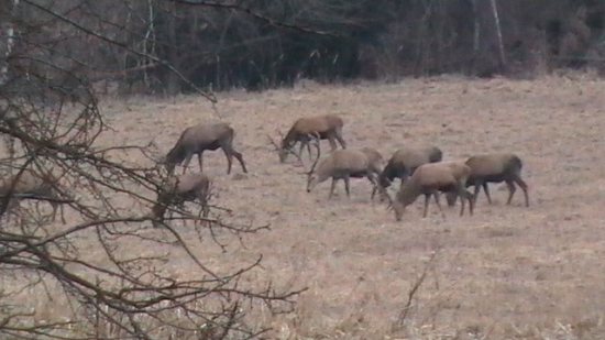predsa sa vratili
