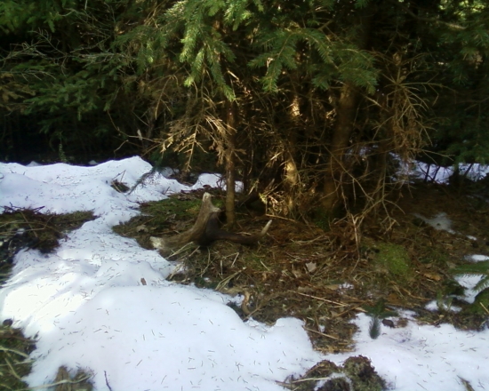 Minulorocny ale potesil.