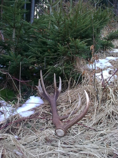 konečne niečo väčšie :-)