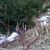 konečne niečo väčšie :-)