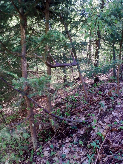 Ukoncenie sezony na strome :)