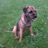 Buster