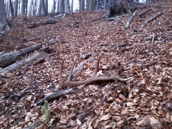 štastie sa usmialo aj na mňa