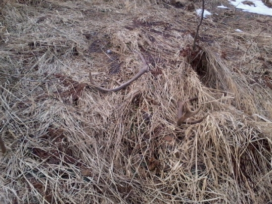 darček k narodeninam