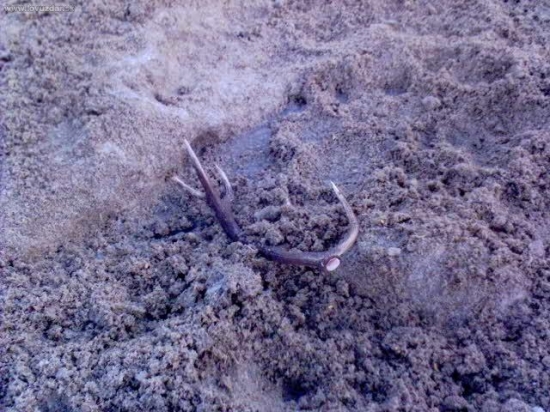 na krmive-desatorák