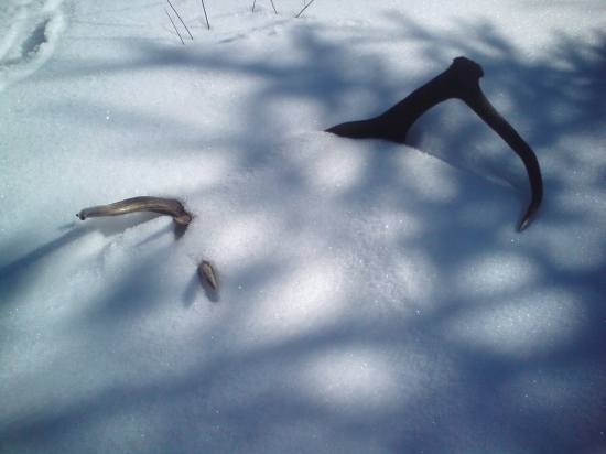 4dni na mna čakal 14 torak