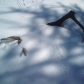 4dni na mna čakal 14 torak