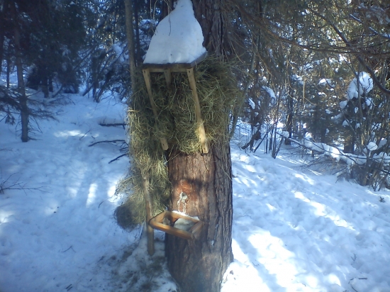 no dufam ze mi daco donesu