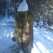 no dufam ze mi daco donesu