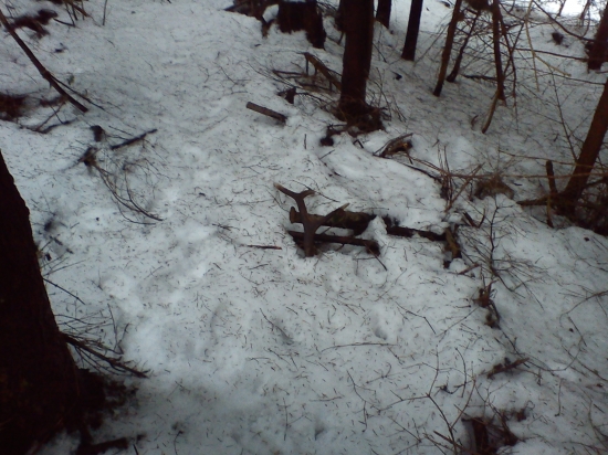 Prvý pohľad : až my srdiečko podskočilo :D