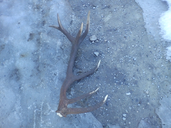 dneštny kamaratov 14 torák