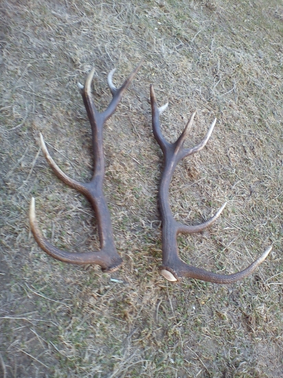 No čo na to poviete, je to pára ?