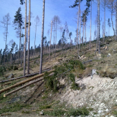 dnesna kontrola skody..treba plakat