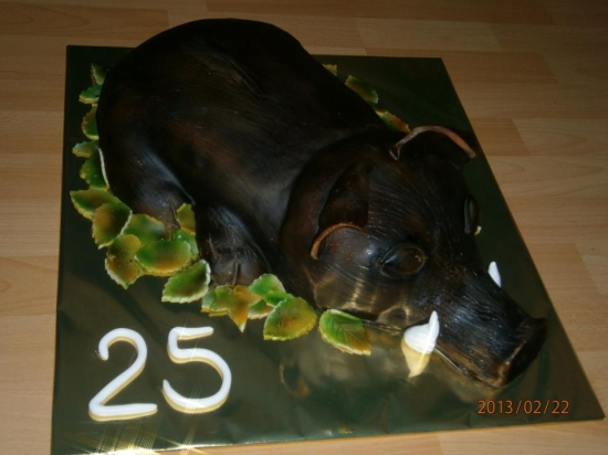 narodeninovy diviacik :-D