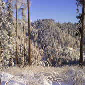 Trocha zimy,,bolo asi -25