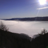 22 december..v dedine hmla a v lese krasny den