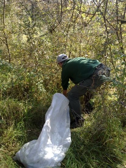 treba vsetky vyzbierat