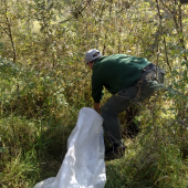 treba vsetky vyzbierat