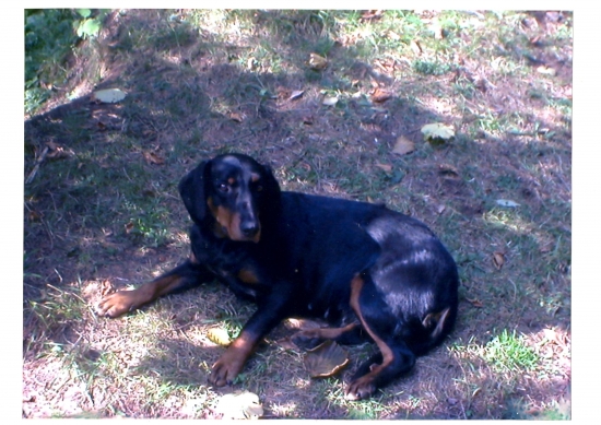 cest a slava jej pamiatke