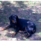 cest a slava jej pamiatke