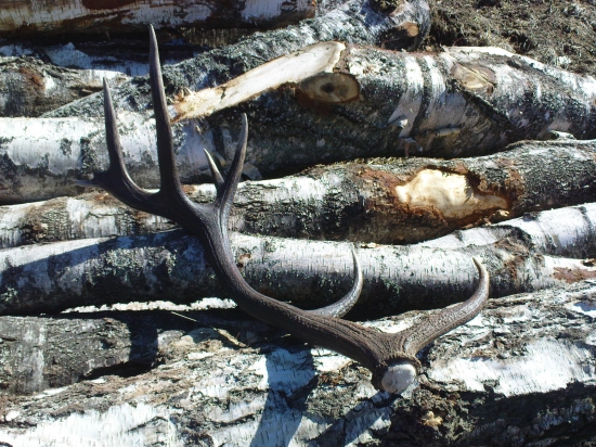 ešte krajši ako ten prvy!