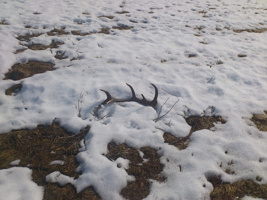 aj take už zhadzuju